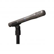 Audio-Technica},description:Ideal for general audio acquisition such as interviews, acoustic guitar, percussion, overheads, vocals and more, the Audio Technica AT8033 Cardioid Cond