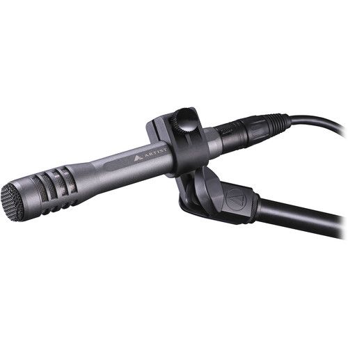 오디오테크니카 Audio-Technica AE-5100 - Large-Diaphragm Cardioid Instrument Microphone