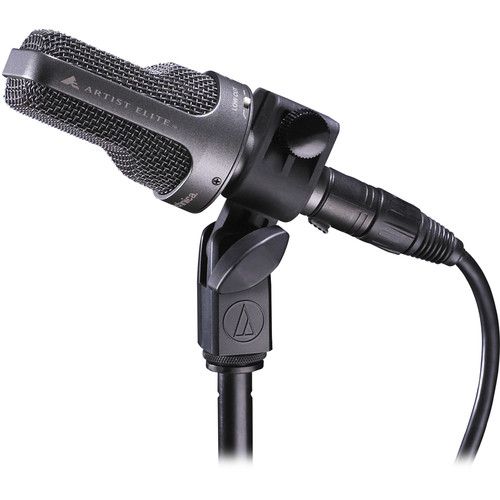 오디오테크니카 Audio-Technica AE-3000 Large-Diaphragm Cardioid Instrument Microphone