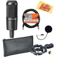 Audio-Technica AT2050 Multi-Pattern Condenser Microphone Bundle with Pop Filter, XLR Cable, and Austin Bazaar Polishing Cloth