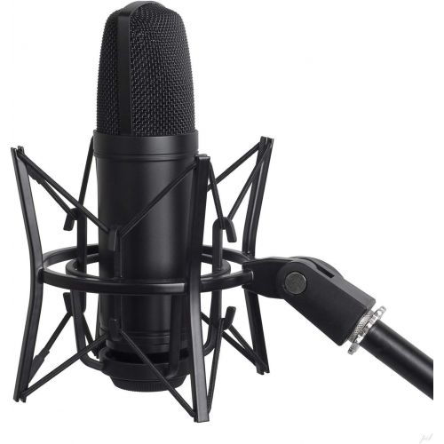 오디오테크니카 Audio Technica AT2020PK Studio Microphone with ATH-M20x, Boom - XLR Cable Streaming/Podcasting Pack and Spider Microphone Shockmount, Pop Filter and Sound Isolation Booth