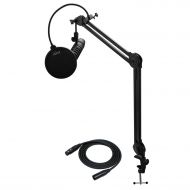 Audio-Technica BP40 Large-Diaphragm Broadcast Microphone with Knox Gear Studio Stand and Pop Filter