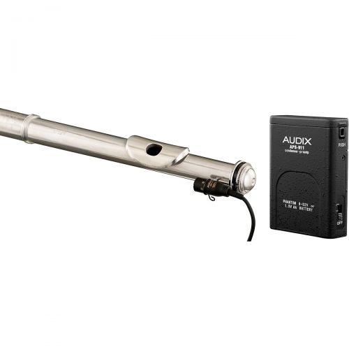  Audix},description:The ADX10-FLP Miniature Electret Condenser is a high-performance professional condenser with a mount custom designed for attaching to the head joint on a flute.
