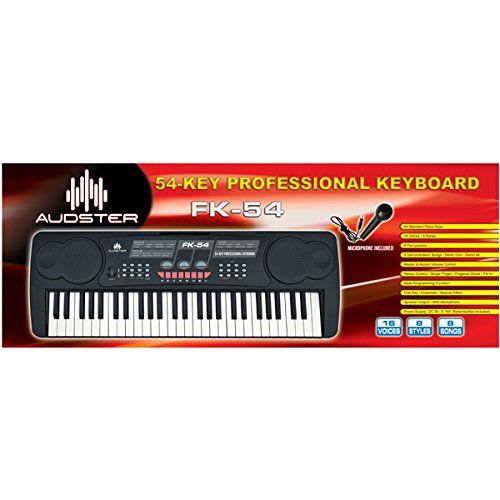  Audster FK-54, 54-Key Professional Electronic Keyboard with Microphone Piano