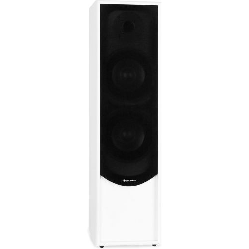  [아마존베스트]-Service-Informationen Auna Linie-300-WH 5.1 Home Cinema Speaker Set 515 W RMS 2 Floor-Standing Speakers 2 Shelf Speakers 1 Centre Speaker 1 Subwoofer White