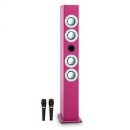 Auna auna Tallboy Karaoke Machine  Tower Speaker  2 Microphones  1000 mAh Battery  4 Bass Reflex Speakers  Bluetooth  USB-Port  SD Slot  Aux-In  Pink