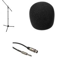 Auray Minus the Mic Kit - Boom Stand, Windscreen and Cable