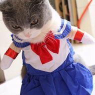 Autumn Water Sailor Moon Cat Costume, Pet Costume