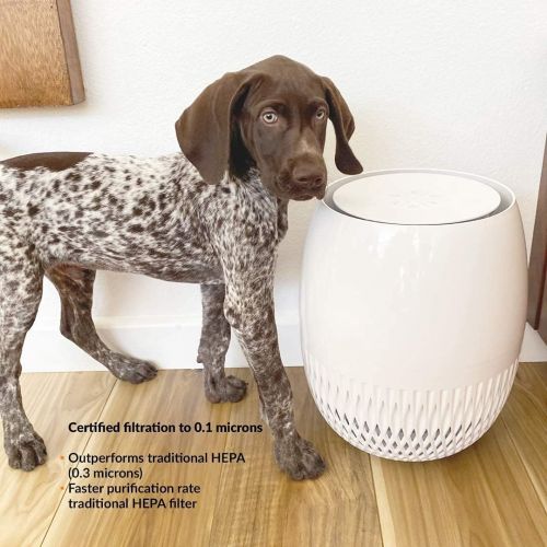  Avari EG Air Purifier to 0.1 Microns. New 4-Stage Embossed HEPA Filter Technology, Pre-Filter, Carbon Deodorizer, LED Sanitizer. AHAM & ECARF, ETL, CARB Tested and Certified. Smart