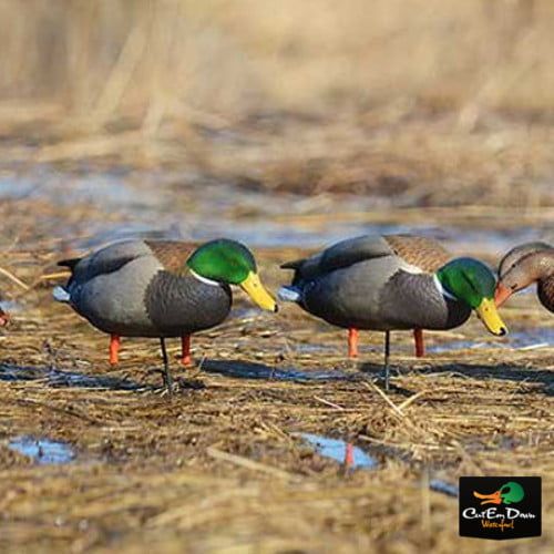  Avery GHG Pro-Grade FB MallardHarv wFlocked Hds (Pack12)