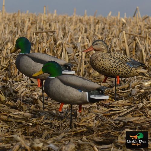  Avery GHG Pro-Grade Full Body MallardActive Decoys (Pk6)