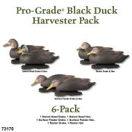 Avery GHG PG Pre-Rigged Black Duck-Harvester Decoys Pk6)