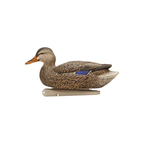  Avian-X Topflight Mallard Fusion Duck Decoys 6 Pack