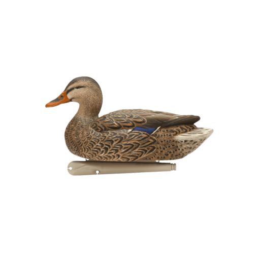  Avian-X Topflight Mallard Fusion Duck Decoys 6 Pack