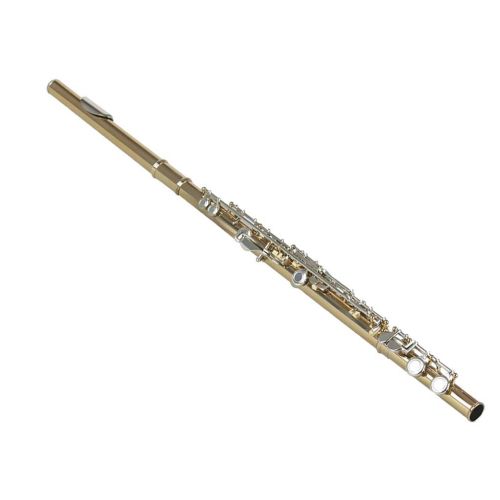  B Blesiya SLADE Professional Gold 16 Hole C Flute for Band Orchestra wCase