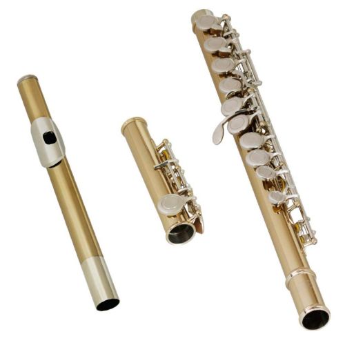  B Blesiya SLADE Professional Gold 16 Hole C Flute for Band Orchestra wCase