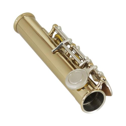  B Blesiya SLADE Professional Gold 16 Hole C Flute for Band Orchestra wCase