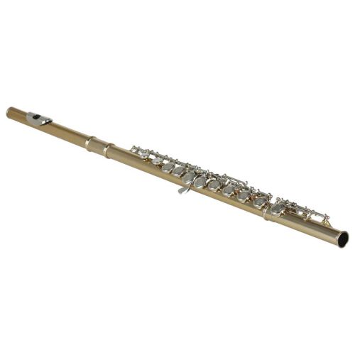  B Blesiya SLADE Professional Gold 16 Hole C Flute for Band Orchestra wCase