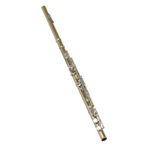  B Blesiya SLADE Professional Gold 16 Hole C Flute for Band Orchestra wCase