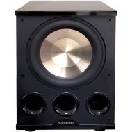 B I C Acoustech Elite Series PL-300 12 inch Powered Subwoofer-1400W with Tri-Tuned Ports and BASS Boost Feature for Room Shaking Bass Down to 15Hz