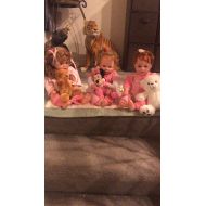 BABYDOLLSAREUS Beautiful 16 Inch Baby Girl Trio (Excellent Deal)