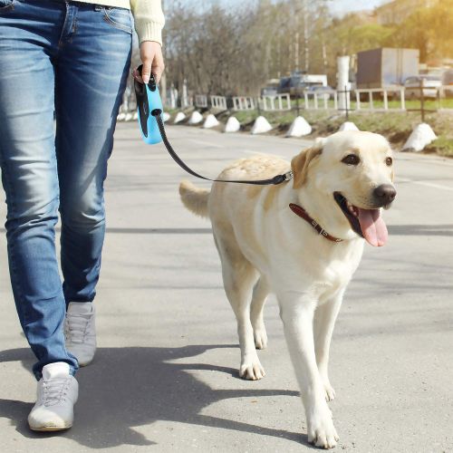  [아마존 핫딜]  [아마존핫딜]Babyltrl Upgraded Retractable Dog Leash, 360° Tangle-Free Dog Walking Leash for Heavy Duty up to 110lbs, 16ft Strong Reflective Nylon Tape with Anti-Slip Handle, One-Handed Brake,