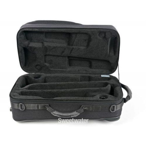  BAM 3024SN Trekking Double Trumpet Case - Black