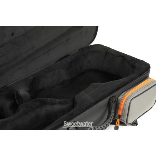  BAM PEAK2001SN Peak Performance Compact Violin Case - Black