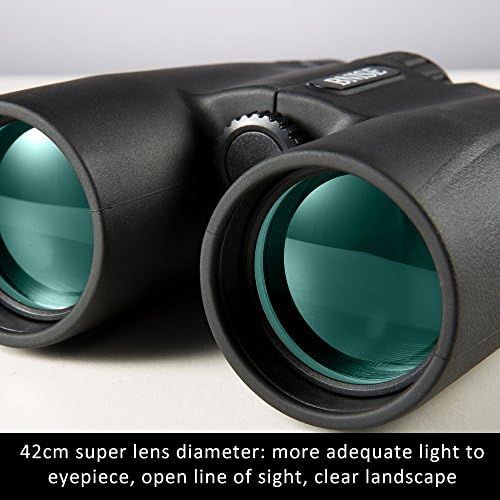  [아마존베스트]BEBANG Binoculars, Test Winner, 10x42, High Performance Magnification, Bright and Clear Viewing Area for Travelling, Birdwatching, Astronomy, Sports and Wildlife