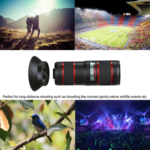  Camera Phone Lens Kit,BECEMURU 12X 4 in 1 Phone Cell Zoom Telephoto Lens+15X Macro Lens+0.36Wide Angle Lens+180°Fisheye Lens Dual Camera Lens Clip for iPhone Samsung Smartphones Ta