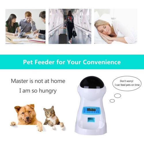  [아마존 핫딜] [아마존핫딜]BELOPEZZ 3 Liter Smart Pet Automatic Feeders with Timer Programmable Up To 4 Meals a Day for Dogs and Cats