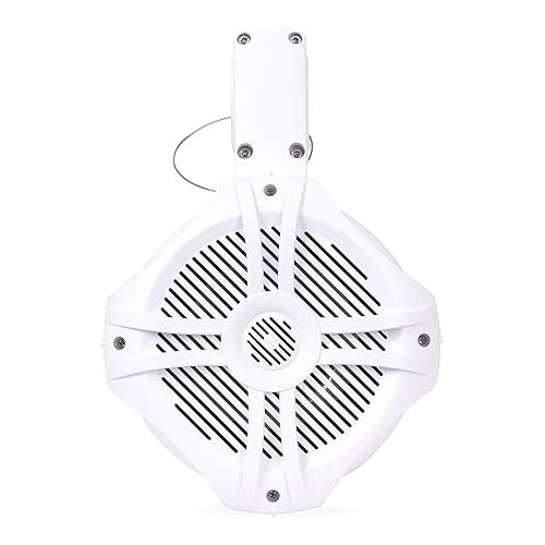  BELVA BWT6LED 500W Peak (250W RMS) 6.5