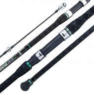 Berrypro Surf Spinning Rod IM8 Carbon Surf Fishing Rod (9/10/106/11/12/133)