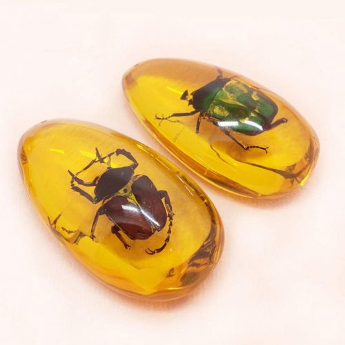  BESPORTBLE Amber Fossil with Insects Samples Stones Crystal Specimens Home Decorations Collection Oval Pendant(1PCS Random Pattern)