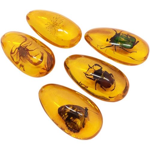  BESPORTBLE Amber Fossil with Insects Samples Stones Crystal Specimens Home Decorations Collection Oval Pendant(1PCS Random Pattern)