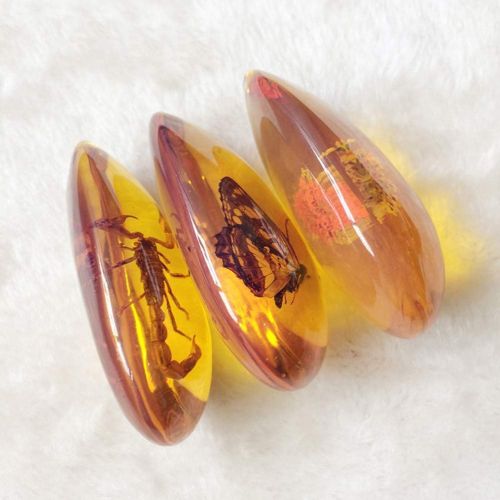  BESPORTBLE Amber Fossil with Insects Samples Stones Crystal Specimens Home Decorations Collection Oval Pendant(1PCS Random Pattern)