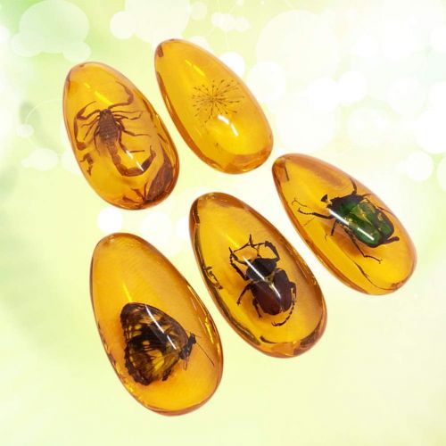  BESPORTBLE Amber Fossil with Insects Samples Stones Crystal Specimens Home Decorations Collection Oval Pendant(1PCS Random Pattern)