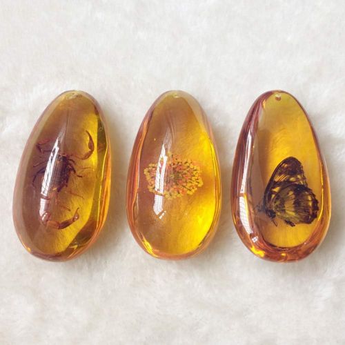  BESPORTBLE Amber Fossil with Insects Samples Stones Crystal Specimens Home Decorations Collection Oval Pendant(1PCS Random Pattern)