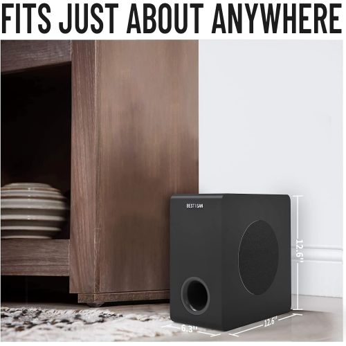  Powered Subwoofer, Bestisan 6.5 Active Home Audio Subwoofer in Compact Design,LFE & Stereo Line Inputs & Audio Output, Built-in Amplifier for Home Theater/Receiver/TV/Speakers, Bla