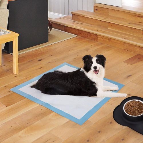  [아마존 핫딜] [아마존핫딜]BESTLE Large Pet Training and Puppy Pads Pee Pad for Dogs 24x24-80 Count Super Absorbent & Leak-Free