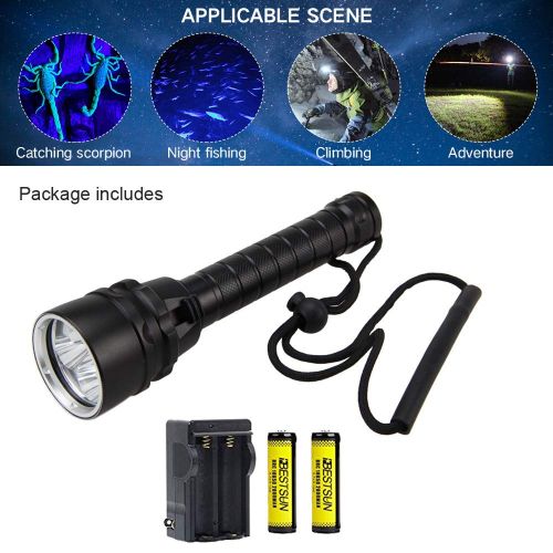  BESTSUN UV Dive Light, Ultra Violet Underwater Light 100m Scuba Diving Flashlight 395-400nm 5 x LED Waterproof Black Light Torch (Battery and Charger Included)