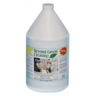 BEYOND GREEN CLEANING Dishwasher Detergent, Machine Wash, 5 gal. Pail, Unscented Liquid, Ready to Use, 1 EA