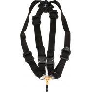 BG S40MSH Harness for Women with Snap Hook Demo