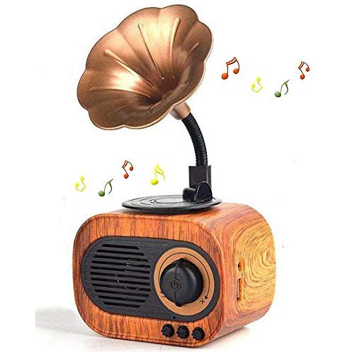  BGJOY Retro Music Speaker Vintage Wireless Speaker Portable Outdoor Speaker Loud Stereo Sound Rechargeable Speaker Built in Mic Support Answering Calls USB TF Card AUX for Home Party Off