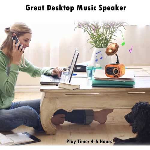  BGJOY Retro Music Speaker Vintage Wireless Speaker Portable Outdoor Speaker Loud Stereo Sound Rechargeable Speaker Built in Mic Support Answering Calls USB TF Card AUX for Home Party Off