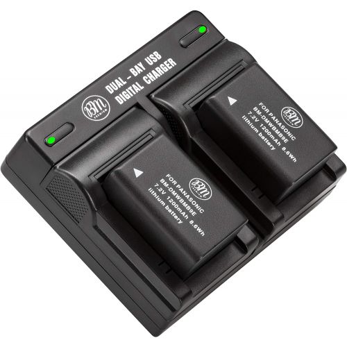  BIG MIKES ELECTRONICS 2 Pack of DMW-BMB9 Batteries and USB Dual Battery Charger for Panasonic Lumix DC-FZ80, DMC-FZ40K, DMC-FZ45K, DMC-FZ47K, DMC-FZ48K, DMC-FZ60, DMC-FZ70, DMC-FZ100, DMC-FZ150 Digital