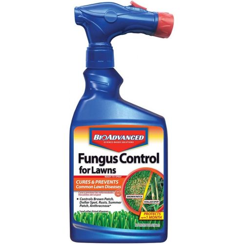  BioAdvanced 701270A Effective Fungicide with Disease Prevention Fungus Control for Lawns, 32-Ounce