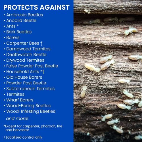  BioAdvanced 700420A Termite & Carpenter Bee Killer Plus Pesticide, 18 oz, Foam Spray