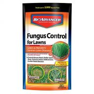 BioAdvanced 701230A Fungus Control for Lawns Systemic Fungicide, 10-Pound