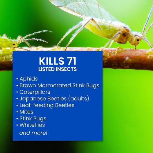  BIOADVANCED 700384A Complete Insect Killer for Soil and Turf Pest Control, 32-Ounce, Ready-to-Spray